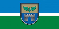 Flag of Salaspils Municipality
